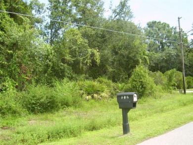 BUY THIS BEAUTIFUL LOT IN POINCIANA AND BUILD YOUR DREAM HOME on Stonegate Golf Club in Florida - for sale on GolfHomes.com, golf home, golf lot