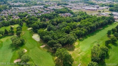 Rare 3.81 acre parcel with Twin Beach Golf Course frontage! on  in Michigan - for sale on GolfHomes.com, golf home, golf lot