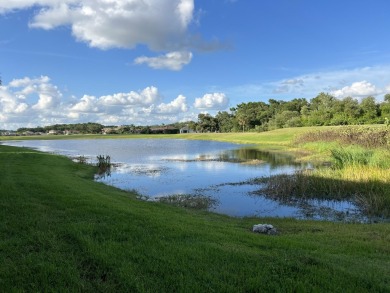 Welcome to Fairway Cove, a gated community of Stoneybrook at on Stoneybrook Golf Club At Heritage Harbour in Florida - for sale on GolfHomes.com, golf home, golf lot