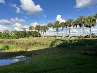 Welcome to Fairway Cove, a gated community of Stoneybrook at on Stoneybrook Golf Club At Heritage Harbour in Florida - for sale on GolfHomes.com, golf home, golf lot
