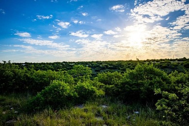Hillside lot overlooking the natural and serene beauty of the on The Cliffs Resort in Texas - for sale on GolfHomes.com, golf home, golf lot