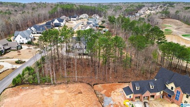 If you've been waiting for the right golf-front lot in Ross on Ross Bridge Golf Resort in Alabama - for sale on GolfHomes.com, golf home, golf lot