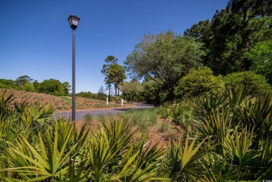 Gorgeous Updated 2-Bedroom True Blue Golf Condo for Sale! on True Blue Plantation in South Carolina - for sale on GolfHomes.com, golf home, golf lot