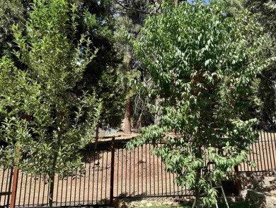 Wonderful Custom 3 bedroom 2.5 bath home located in the Lake on Lake Almanor Country Club in California - for sale on GolfHomes.com, golf home, golf lot