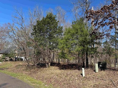 Beautiful Diamante Golf Course Lot .43 Acres  Sits high on Diamante Golf and Country Club in Arkansas - for sale on GolfHomes.com, golf home, golf lot