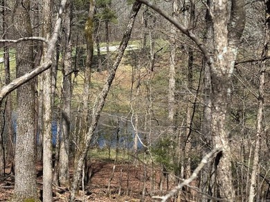 Beautiful Diamante Golf Course Lot .43 Acres  Sits high on Diamante Golf and Country Club in Arkansas - for sale on GolfHomes.com, golf home, golf lot