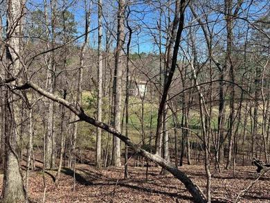 Beautiful Diamante Golf Course Lot .43 Acres  Sits high on Diamante Golf and Country Club in Arkansas - for sale on GolfHomes.com, golf home, golf lot