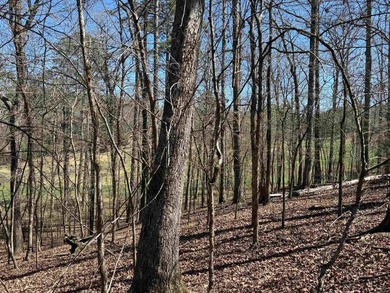 Beautiful Diamante Golf Course Lot .43 Acres  Sits high on Diamante Golf and Country Club in Arkansas - for sale on GolfHomes.com, golf home, golf lot