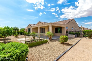 Gorgeous corner lot home in Sun City Festival! Discover a great on Copper Canyon Golf Club in Arizona - for sale on GolfHomes.com, golf home, golf lot