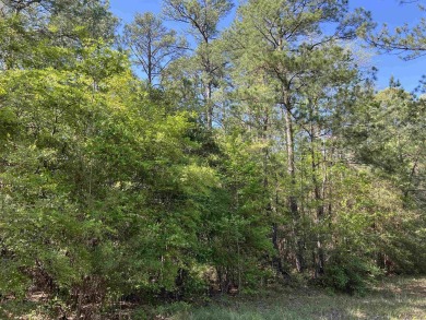 OWNER FINANCE OPTION! This serene 1.571-acre parcel is nestled on Rayburn Country Club in Texas - for sale on GolfHomes.com, golf home, golf lot