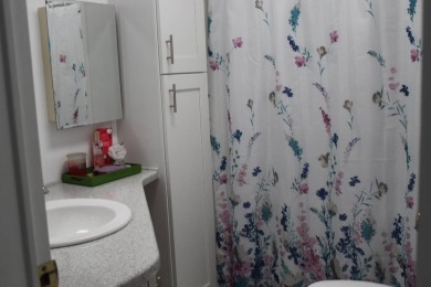 Beautifully Updated Palm Harbor Home - Furnished and Ready to on Schalamar Creek Golf and Country Club in Florida - for sale on GolfHomes.com, golf home, golf lot