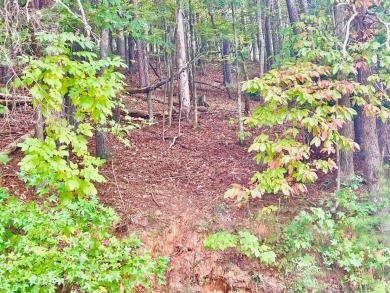 Love the mountains AND Golf?? Loking for that perfect place to on White Path Golf Club in Georgia - for sale on GolfHomes.com, golf home, golf lot