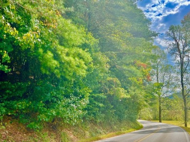 Love the mountains AND Golf?? Loking for that perfect place to on White Path Golf Club in Georgia - for sale on GolfHomes.com, golf home, golf lot
