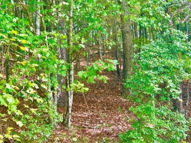 Love the mountains AND Golf?? Loking for that perfect place to on White Path Golf Club in Georgia - for sale on GolfHomes.com, golf home, golf lot