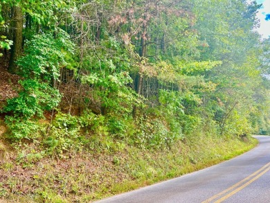 Love the mountains AND Golf?? Loking for that perfect place to on White Path Golf Club in Georgia - for sale on GolfHomes.com, golf home, golf lot