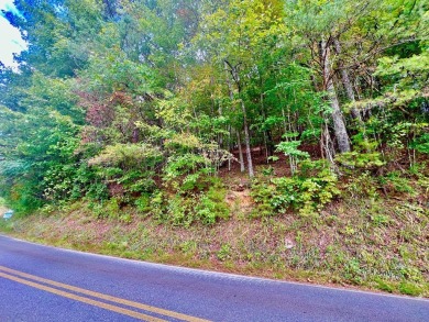 Love the mountains AND Golf?? Loking for that perfect place to on White Path Golf Club in Georgia - for sale on GolfHomes.com, golf home, golf lot