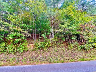 Love the mountains AND Golf?? Loking for that perfect place to on White Path Golf Club in Georgia - for sale on GolfHomes.com, golf home, golf lot