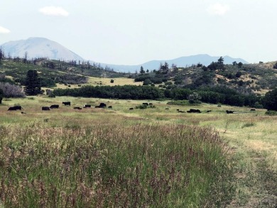 Just a short drive from the quaint town of La Veta is a private on Grandote Peaks Golf Club in Colorado - for sale on GolfHomes.com, golf home, golf lot