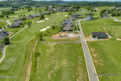 THIS ISN'T JUST A LOT, IT'S THE FOUNDATION FOR YOUR FUTURE on Tennessee National Golf Club in Tennessee - for sale on GolfHomes.com, golf home, golf lot