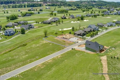 THIS ISN'T JUST A LOT, IT'S THE FOUNDATION FOR YOUR FUTURE on Tennessee National Golf Club in Tennessee - for sale on GolfHomes.com, golf home, golf lot