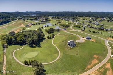 THIS ISN'T JUST A LOT, IT'S THE FOUNDATION FOR YOUR FUTURE on Tennessee National Golf Club in Tennessee - for sale on GolfHomes.com, golf home, golf lot