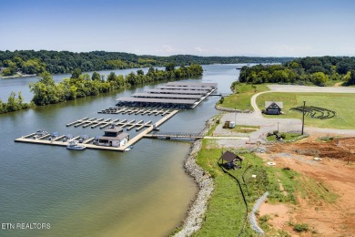 THIS ISN'T JUST A LOT, IT'S THE FOUNDATION FOR YOUR FUTURE on Tennessee National Golf Club in Tennessee - for sale on GolfHomes.com, golf home, golf lot