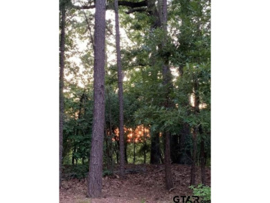 Stunningly beautiful, heavily-wooded lots being sold together on Holly Lake Ranch Golf Club in Texas - for sale on GolfHomes.com, golf home, golf lot