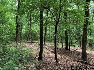Stunningly beautiful, heavily-wooded lots being sold together on Holly Lake Ranch Golf Club in Texas - for sale on GolfHomes.com, golf home, golf lot