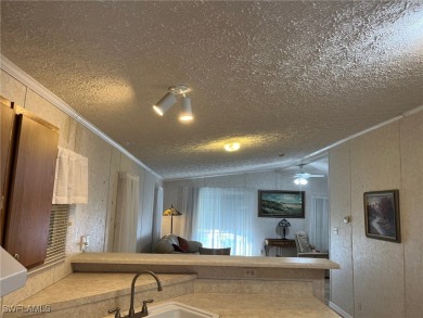 SELLERS SAYS BRING OFFERS!A Waterfront 55+ Community! QUICK on Seminole Lakes Country Club in Florida - for sale on GolfHomes.com, golf home, golf lot