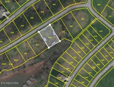 This beautiful lake access homesite borders TVA common ground on Rarity Bay Country Club - Loudon in Tennessee - for sale on GolfHomes.com, golf home, golf lot