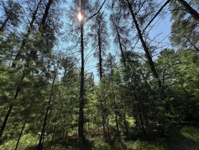 Huge Timber Ridge lot privately set back from 18th Fairway on Timber Ridge Golf Club in Wisconsin - for sale on GolfHomes.com, golf home, golf lot