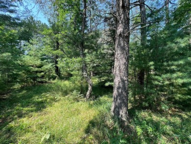 Huge Timber Ridge lot privately set back from 18th Fairway on Timber Ridge Golf Club in Wisconsin - for sale on GolfHomes.com, golf home, golf lot