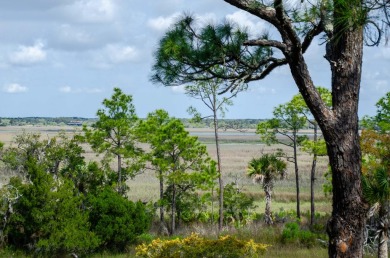 Set on .48 acres in Vanderhorst Plantation, offering a on Kiawah Island Resort - Osprey Point in South Carolina - for sale on GolfHomes.com, golf home, golf lot