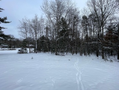 Timber Ridge Golf course lot overlooking signature 16th hole on Timber Ridge Golf Club in Wisconsin - for sale on GolfHomes.com, golf home, golf lot