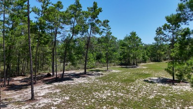 Welcome to 244 Coastal Breeze Drive-a beautifully crafted on Windswept Dunes Golf Club in Florida - for sale on GolfHomes.com, golf home, golf lot