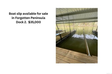 Discover exceptional lake & mountain views from this beautifully on Indian Hills Country Club in Arkansas - for sale on GolfHomes.com, golf home, golf lot