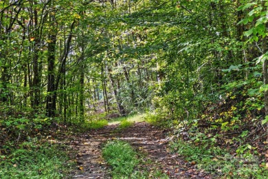 This homesite in Linville Falls Mountain Club offers the perfect on Linville Falls Golf Club in North Carolina - for sale on GolfHomes.com, golf home, golf lot