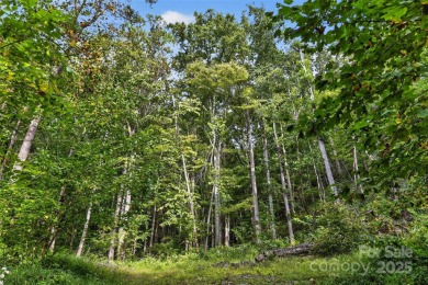 This homesite in Linville Falls Mountain Club offers the perfect on Linville Falls Golf Club in North Carolina - for sale on GolfHomes.com, golf home, golf lot