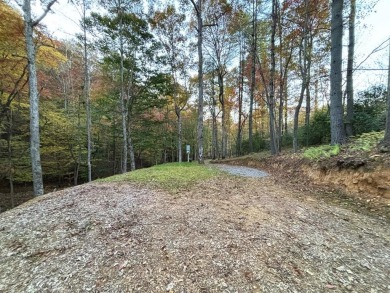 [Lot 15-1 Hills Creek Rd, Mineral Bluff, GA]  Appalachia Land & on Old Toccoa Farm Golf Club in Georgia - for sale on GolfHomes.com, golf home, golf lot