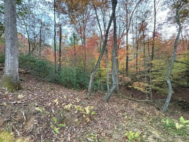 [Lot 15-1 Hills Creek Rd, Mineral Bluff, GA]  Appalachia Land & on Old Toccoa Farm Golf Club in Georgia - for sale on GolfHomes.com, golf home, golf lot