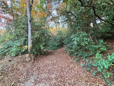 [Lot 15-2 Hills Creek Rd, Mineral Bluff, GA]  Imagine having 2 on Old Toccoa Farm Golf Club in Georgia - for sale on GolfHomes.com, golf home, golf lot