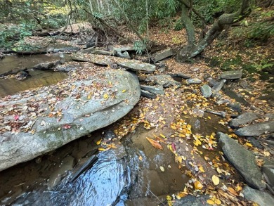 [Lot 15-3 Hills Creek Rd, Mineral Bluff, GA]  Imagine having 2 on Old Toccoa Farm Golf Club in Georgia - for sale on GolfHomes.com, golf home, golf lot