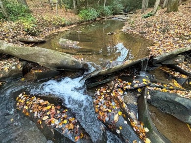 Imagine having 4.36 acres of unrestricted land, with on Old Toccoa Farm Golf Club in Georgia - for sale on GolfHomes.com, golf home, golf lot