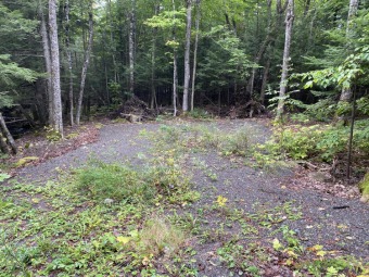Nice buildable 3 acre wooded lot with 300' of road on Foxcroft Golf Club in Maine - for sale on GolfHomes.com, golf home, golf lot
