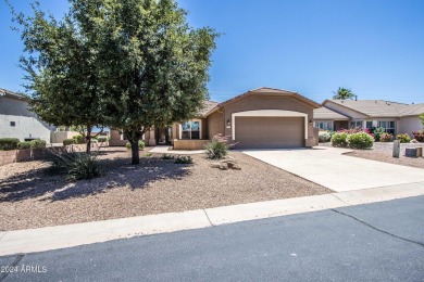 Welcome to this desirable Southern Chandler 55+ community. Enjoy on Lone Tree Golf Club in Arizona - for sale on GolfHomes.com, golf home, golf lot