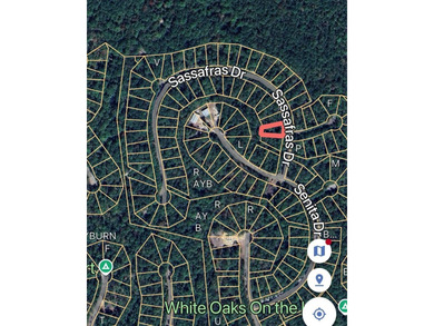 Lake life is calling - answer it!  1/4 acre lot in Rayburn on Rayburn Country Club in Texas - for sale on GolfHomes.com, golf home, golf lot