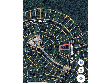 Lake life is calling - answer it!  1/4 acre lot in Rayburn on Rayburn Country Club in Texas - for sale on GolfHomes.com, golf home, golf lot