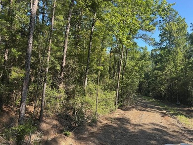 Lake life is calling - answer it!  1/4 acre lot in Rayburn on Rayburn Country Club in Texas - for sale on GolfHomes.com, golf home, golf lot