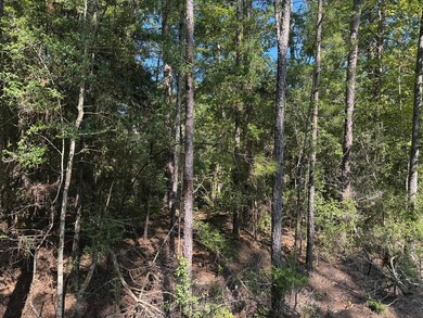 Lake life is calling - answer it!  1/4 acre lot in Rayburn on Rayburn Country Club in Texas - for sale on GolfHomes.com, golf home, golf lot