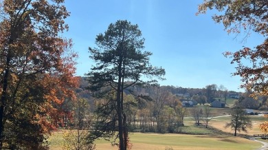 GORGEOUS large 1.13 acre lot located in the beautiful Owen Glen on Old Union Golf Course in Georgia - for sale on GolfHomes.com, golf home, golf lot